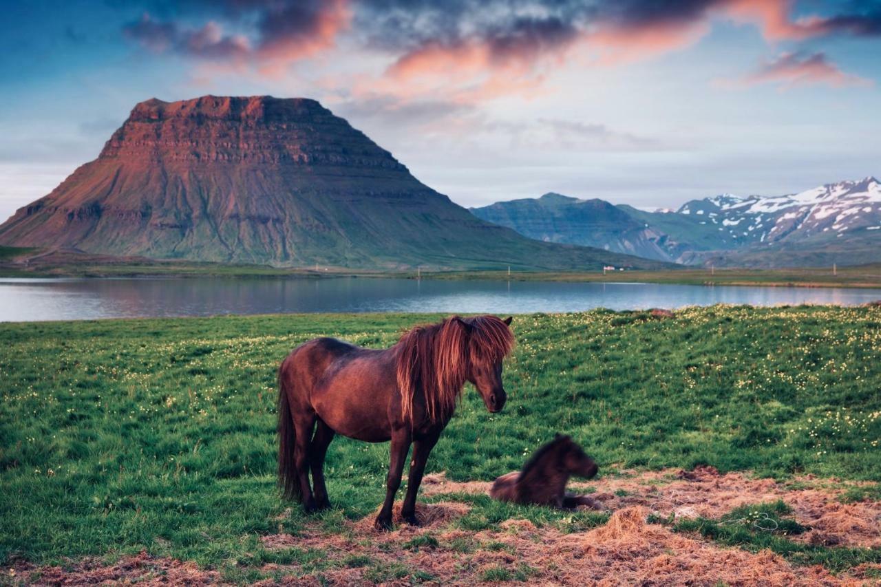 Experience Beautiful Iceland Ólafsvík Exterior foto